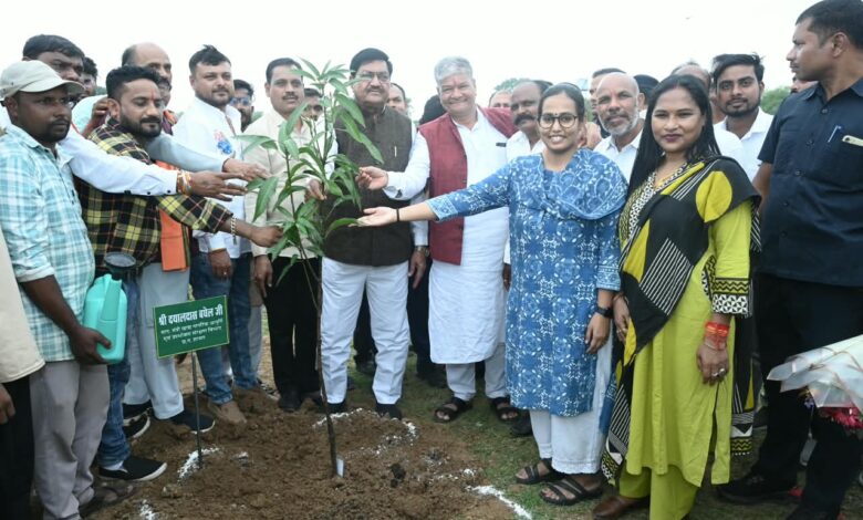 मोर गांव मोर पानी महाअभियान के तहत बृहद वृक्षारोपण कराया गया मोर गांव मोर पानी महाअभियान के तहत बृहद वृक्षारोपण कराया गया
