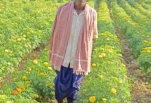 ’धान से गेंदा की खेती की ओर बढ़े आनंद राम, 0.400 हेक्टेयर में कमाया 3.96 लाख रुपए’….