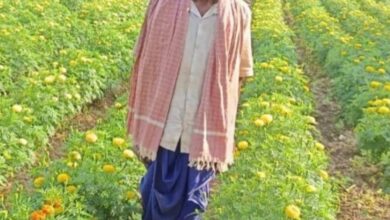’धान से गेंदा की खेती की ओर बढ़े आनंद राम, 0.400 हेक्टेयर में कमाया 3.96 लाख रुपए’….