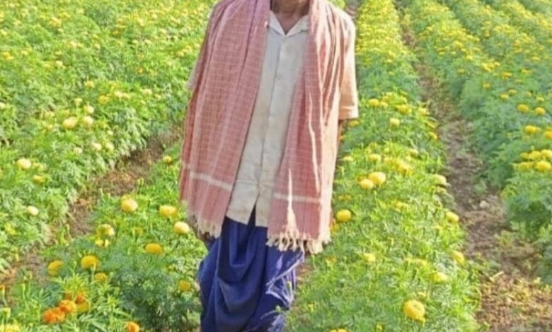 ’धान से गेंदा की खेती की ओर बढ़े आनंद राम, 0.400 हेक्टेयर में कमाया 3.96 लाख रुपए’…. ’धान से गेंदा की खेती की ओर बढ़े आनंद राम, 0.400 हेक्टेयर में कमाया 3.96 लाख रुपए’….