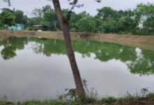सारंगढ़-बिलाईगढ़ में जल-क्रांति, समृद्ध किसान – सशक्त को कर रहा है साकार……