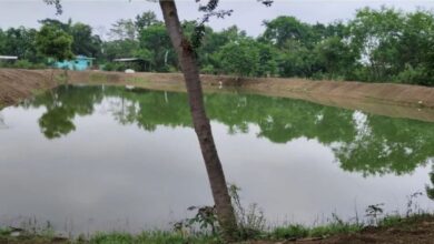 सारंगढ़-बिलाईगढ़ में जल-क्रांति, समृद्ध किसान – सशक्त को कर रहा है साकार……