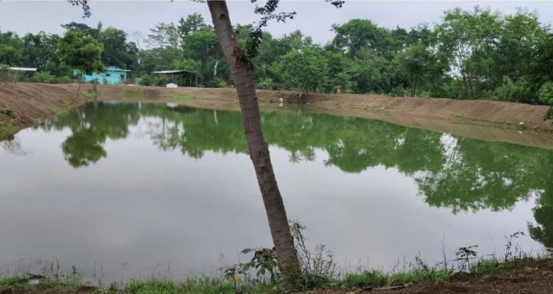 सारंगढ़-बिलाईगढ़ में जल-क्रांति, समृद्ध किसान – सशक्त को कर रहा है साकार……
