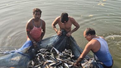 सेवा- संकल्प- अभियान : मत्स्य पालन से संवरी गांधीराम की ज़िंदगी, 0.20 हेक्टेयर के तालाब से सालाना 100 क्विंटल उत्पादन, 8 लाख तक मुनाफा…..