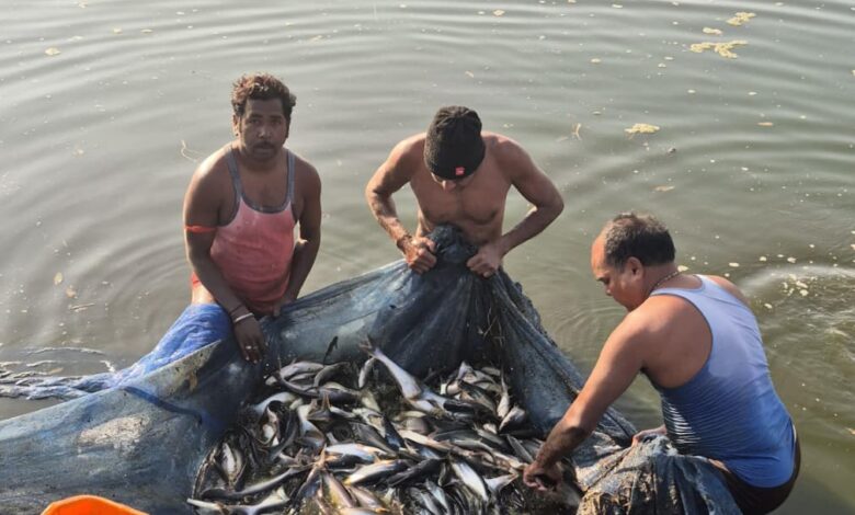 सेवा- संकल्प- अभियान : मत्स्य पालन से संवरी गांधीराम की ज़िंदगी, 0.20 हेक्टेयर के तालाब से सालाना 100 क्विंटल उत्पादन, 8 लाख तक मुनाफा….. सेवा- संकल्प- अभियान : मत्स्य पालन से संवरी गांधीराम की ज़िंदगी, 0.20 हेक्टेयर के तालाब से सालाना 100 क्विंटल उत्पादन, 8 लाख तक मुनाफा…..