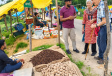 विदेशी पर्यटकों को आकर्षित कर रहा छत्तीसगढ़ का ग्रामीण पर्यटन मॉडल, लमना विलेज स्टे में ब्रिटेन के अतिथियों ने ग्रामीण जीवन, स्थानीय संस्कृति और हाट-बाजार का लिया अनुभव….