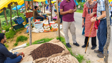 विदेशी पर्यटकों को आकर्षित कर रहा छत्तीसगढ़ का ग्रामीण पर्यटन मॉडल, लमना विलेज स्टे में ब्रिटेन के अतिथियों ने ग्रामीण जीवन, स्थानीय संस्कृति और हाट-बाजार का लिया अनुभव….