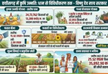 आधुनिक और नगदी फसलों की खेती ने बदली छत्तीसगढ़ के किसानों की तकदीर, खेती ने पकड़ी नई रफ्तार, खेत से बाजार तक बदल रही तस्वीर…..