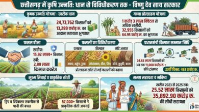 आधुनिक और नगदी फसलों की खेती ने बदली छत्तीसगढ़ के किसानों की तकदीर, खेती ने पकड़ी नई रफ्तार, खेत से बाजार तक बदल रही तस्वीर…..