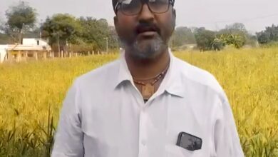 धान की जगह रागी की खेती से दिनेश को मिलेगा 10 हजार रुपये का प्रोत्साहन, कृषि विभाग से मिले बीज और तकनीकी मार्गदर्शन से एक एकड़ में तैयार हुई रागी की फसल……