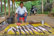 मत्स्य पालन से समृद्ध हो रही सरगुजा की ग्रामीण अर्थव्यवस्था, किसानों और महिलाओं के लिए खुल रहे स्वरोजगार के नए अवसर….