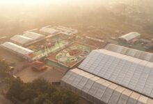 बस्तर के लालबाग में वनोपज से सजी 20,700 वर्गफीट की भव्य रंगोली ने रचा विश्व रिकॉर्ड, राष्ट्रपति द्रौपदी मुर्मु ने किया अवलोकन….