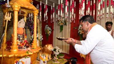 उप मुख्यमंत्री विजय शर्मा ने कवर्धा में मां महामाया और मां विंध्यवासिनी के दर्शन कर प्रदेश की सुख-समृद्धि और खुशहाली की कामना की….