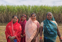 मुख्यमंत्री विष्णु देव साय के नेतृत्व में बिहान योजना से आत्मनिर्भर बन रहीं ग्रामीण महिलाएं, गन्ने की खेती से ममता राजवाड़े ने बढ़ाई आमदनी….