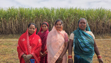 मुख्यमंत्री विष्णु देव साय के नेतृत्व में बिहान योजना से आत्मनिर्भर बन रहीं ग्रामीण महिलाएं, गन्ने की खेती से ममता राजवाड़े ने बढ़ाई आमदनी….