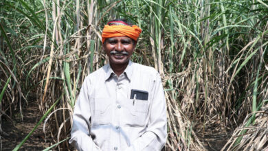 ‘गन्ना के समर्थन मूल्य में वृद्धि से मनोहर लाल सिन्हा के जीवन में आई मिठास, धान की तुलना में कम जोखिम, कारखाने तक सीधी पहुंच से सुरक्षित हुआ मुनाफा….. ‘गन्ना के समर्थन मूल्य में वृद्धि से मनोहर लाल सिन्हा के जीवन में आई मिठास, धान की तुलना में कम जोखिम, कारखाने तक सीधी पहुंच से सुरक्षित हुआ मुनाफा…..