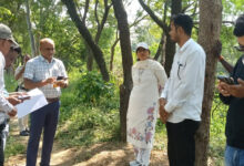 ग्राम केरीबंधा के अंदरूनी खेतों में पहुंचकर कलेक्टर जयश्री जैन ने पीवी ऐप सर्वे कार्यो का किया औचक निरीक्षण….