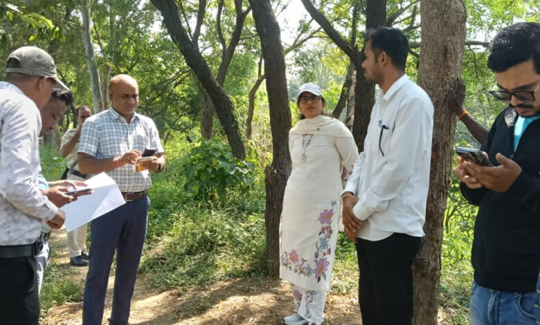 ग्राम केरीबंधा के अंदरूनी खेतों में पहुंचकर कलेक्टर जयश्री जैन ने पीवी ऐप सर्वे कार्यो का किया औचक निरीक्षण…. ग्राम केरीबंधा के अंदरूनी खेतों में पहुंचकर कलेक्टर जयश्री जैन ने पीवी ऐप सर्वे कार्यो का किया औचक निरीक्षण….