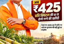 गन्ना मूल्य में छत्तीसगढ़ देश में नंबर वन, किसानों को अब 425 रुपये प्रति क्विंटल की दर से होगा भुगतान, नई दर 2025-26 सत्र से ही लागू…..