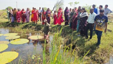 तालाबों में खिली आत्मनिर्भरता की उम्मीद : मखाना की खेती से बदल रही ग्रामीण महिलाओं की जिंदगी….
