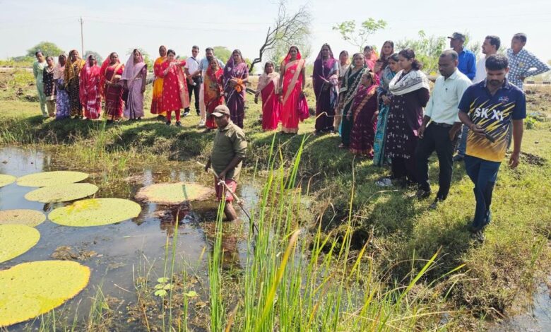 तालाबों में खिली आत्मनिर्भरता की उम्मीद : मखाना की खेती से बदल रही ग्रामीण महिलाओं की जिंदगी….